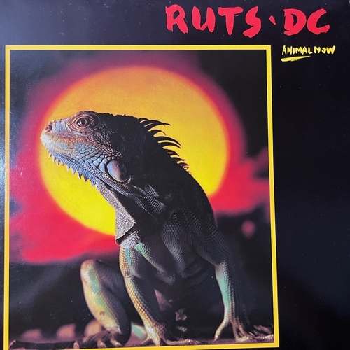 Ruts DC – Animal Now