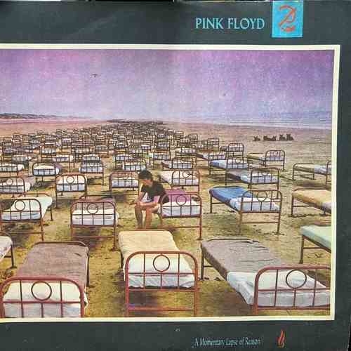 Pink Floyd ‎– A Momentary Lapse Of Reason