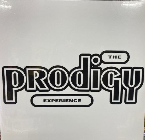 The Prodigy ‎– Experience