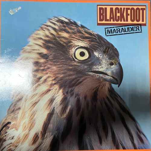 Blackfoot – Marauder